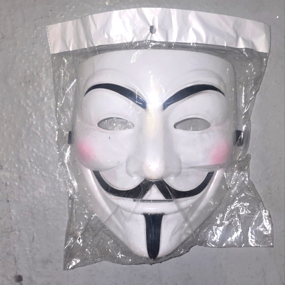 Mr. Anonymous Mask-Guy Fawkes